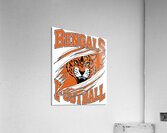 Cincinnati Bengals 7 Acrylic Print