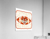 Cincinnati Bengals 8 Acrylic Print
