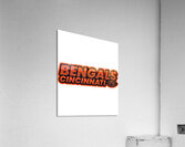 Cincinnati Bengals 9 Acrylic Print
