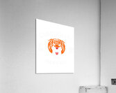 Cincinnati Bengals 14 Acrylic Print