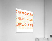 Cincinnati Bengals 16 Acrylic Print