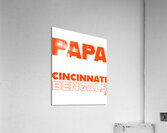 Cincinnati Bengals 21 Acrylic Print