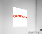 Cincinnati Bengals 22 Acrylic Print