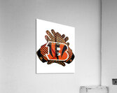 Cincinnati Bengals 23 Acrylic Print
