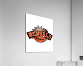 Cincinnati Bengals 26 Acrylic Print