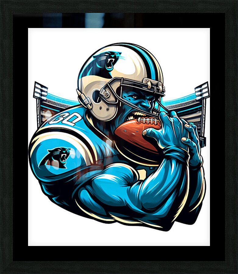 Carolina Panthers 2 Picture Frame print