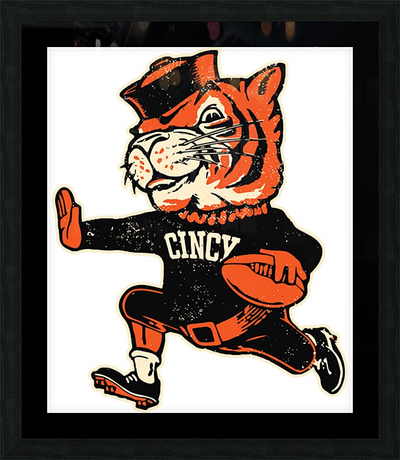 Cincinnati Bengals 24 Picture Frame print