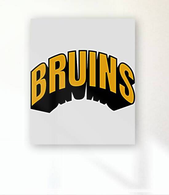 Boston Bruins 23 by SantiagoTParks