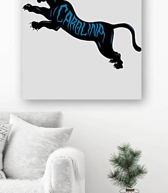 Carolina Panthers 3 by SantiagoTParks