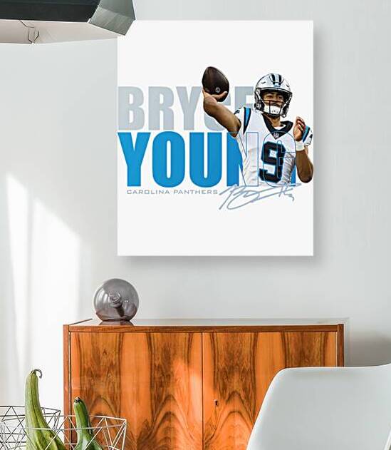 Carolina Panthers 15 by SantiagoTParks