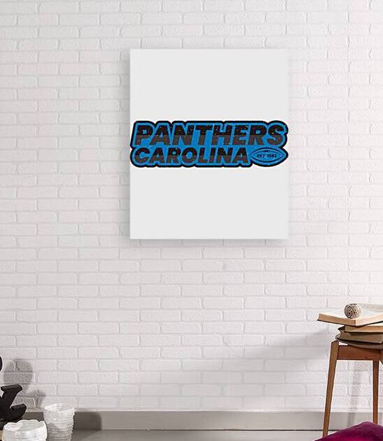 Carolina Panthers 21 by SantiagoTParks