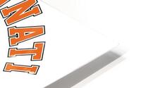 Cincinnati Bengals 1 HD Metal print