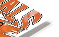 Cincinnati Bengals 7 HD Metal print
