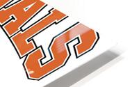 Cincinnati Bengals 17 HD Metal print