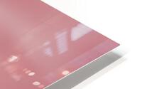 Pink Evening HD Metal print