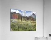 Wild flowers Acrylic Print