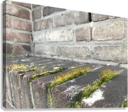 Urban Life Canvas Print