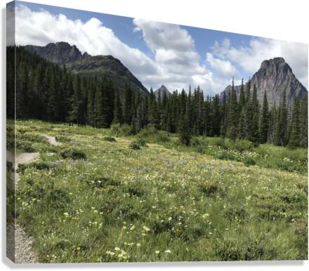 Wild flowers Canvas Print