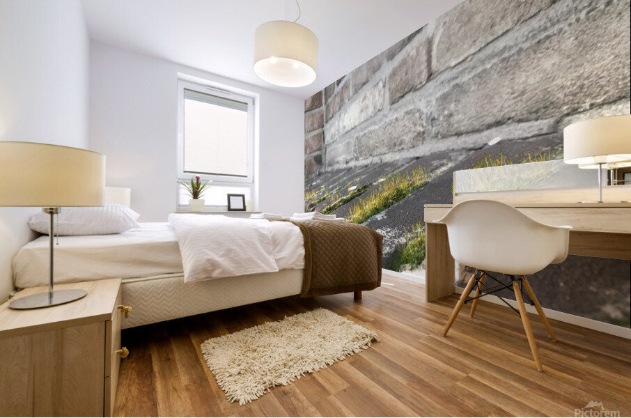 Urban Life Mural print