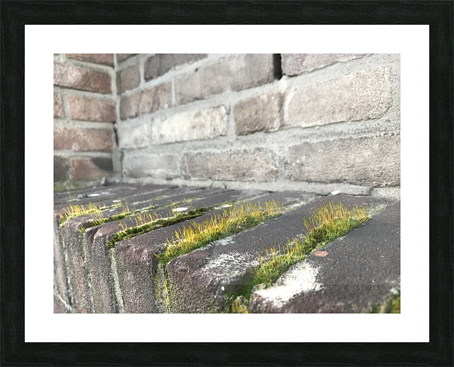 Urban Life Picture Frame print