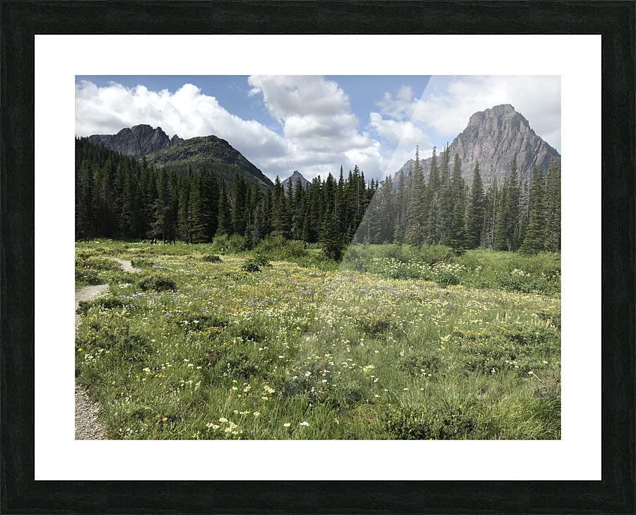 Wild flowers Picture Frame print
