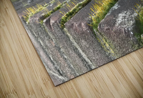 Urban Life 406Upland puzzle