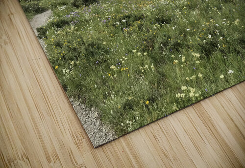Wild flowers 406Upland puzzle