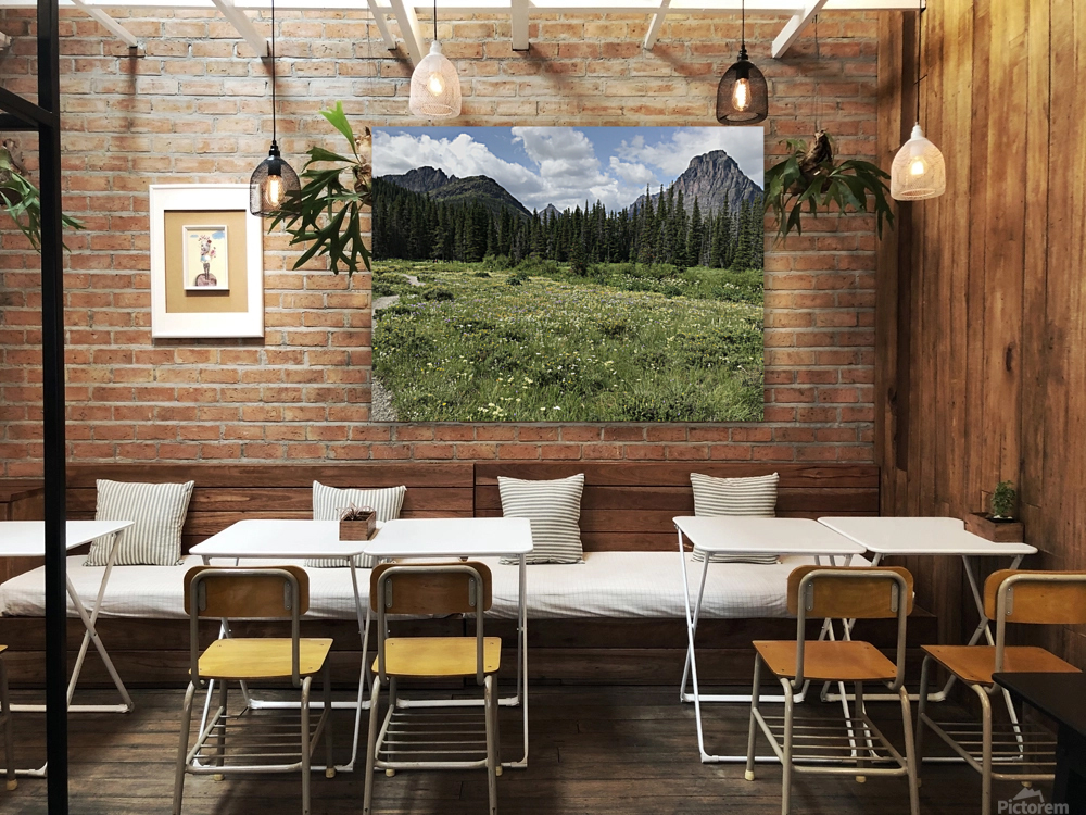 Wild flowers Reproduction