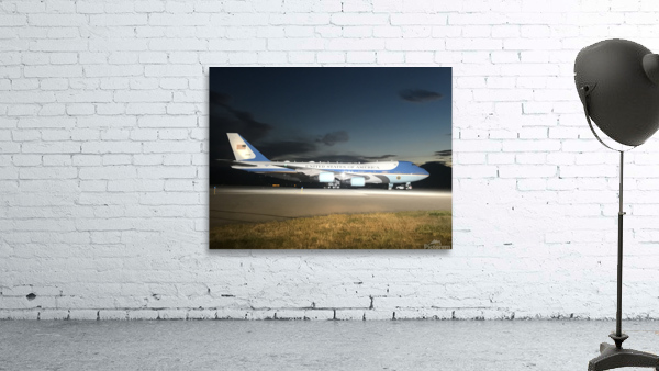 Freedom Bird Wall Preview