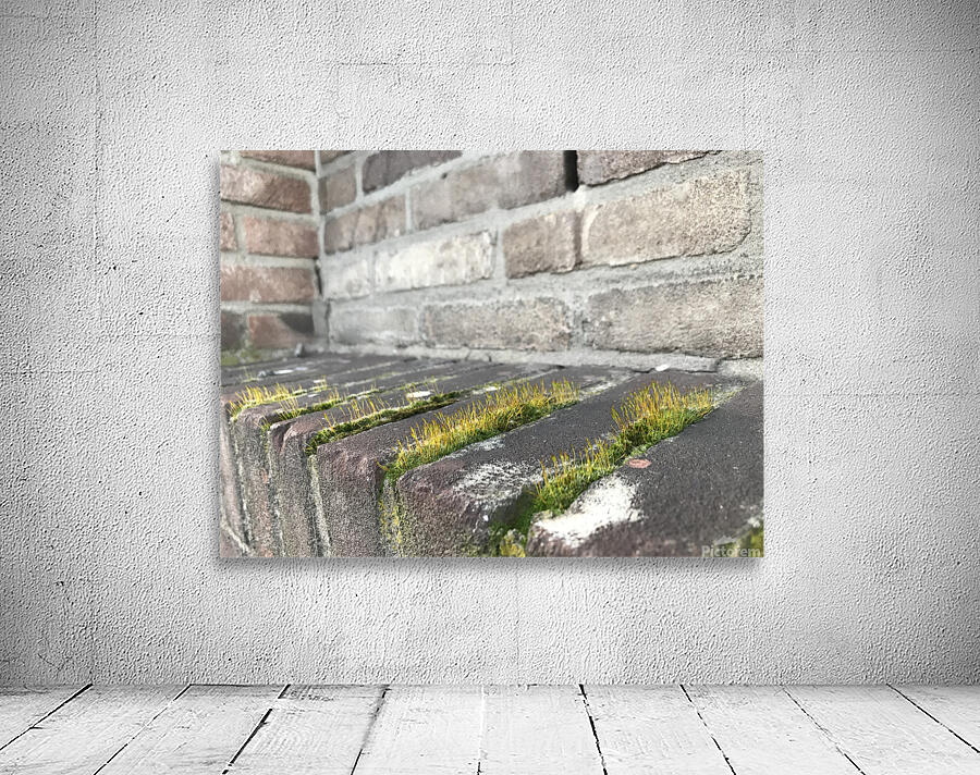 Urban Life Wall Preview