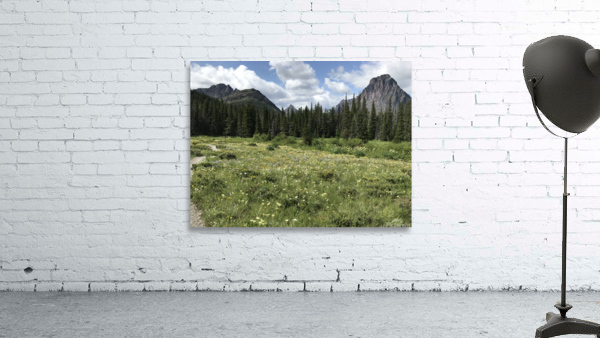 Wild flowers Wall Preview