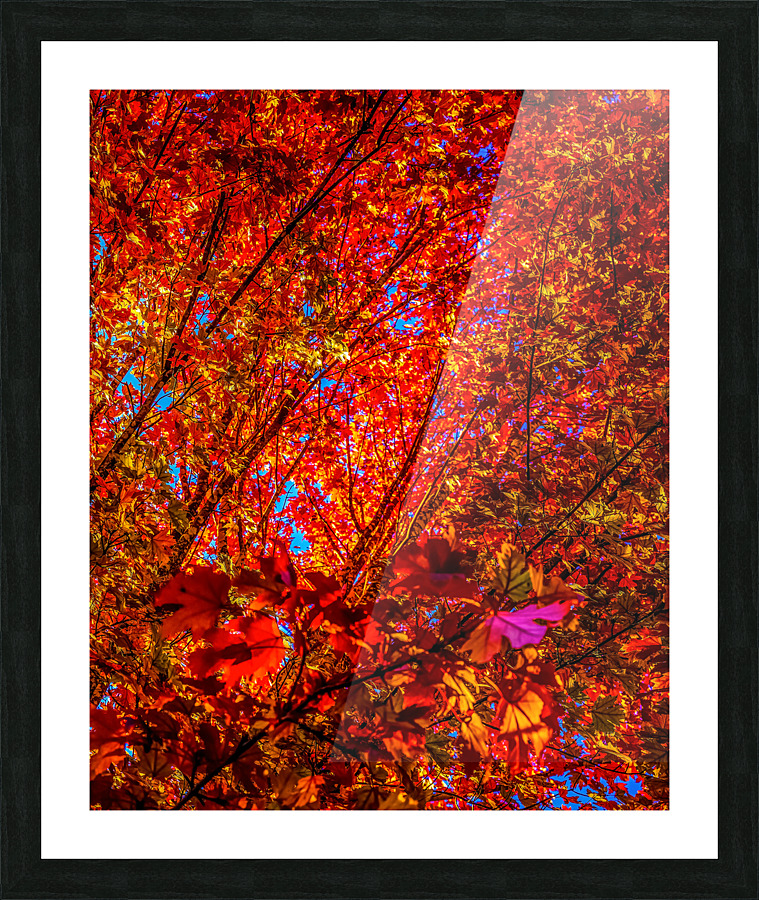 LTE - Red on Blue Picture Frame Printing