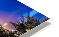 LTE - Dance Floor HD Metal print