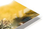 LTE - Golden Dew HD Metal print