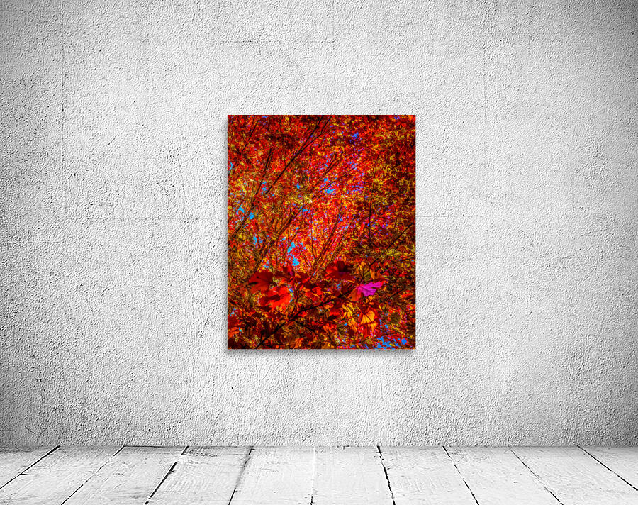 LTE - Red on Blue Wall Preview