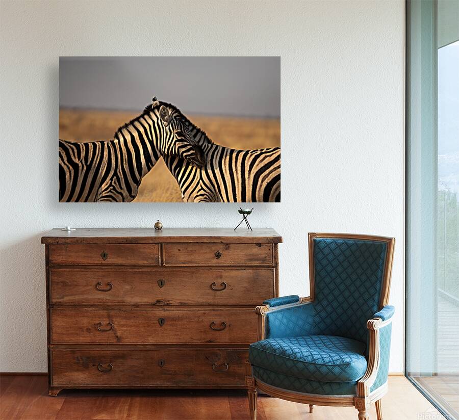 Zebras 1 Reproduction