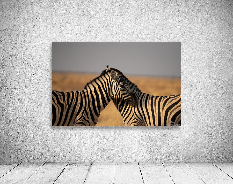 Zebras 1 Wall Preview