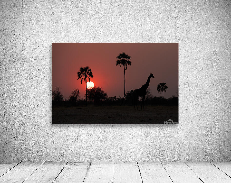 African Sunset Wall Preview