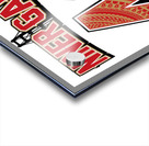 49ers Acrylic print
