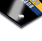 Sabres Acrylic print