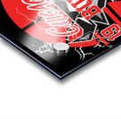 chicago bulls Acrylic print