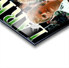 Boston Celtics 41 Acrylic print
