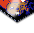 Buffalo Bills 1 Acrylic print