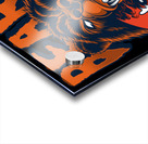 Chicago Bears 4 Acrylic print