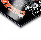 Chicago Bears 10 Acrylic print