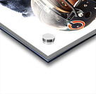 Chicago Bears 13 Acrylic print