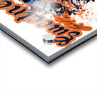 Chicago Bears 17 Acrylic print