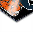Chicago Bears 30 Acrylic print