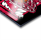 Chicago Bulls 21 Acrylic print
