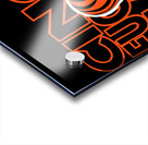 Cincinnati Bengals 2 Acrylic print